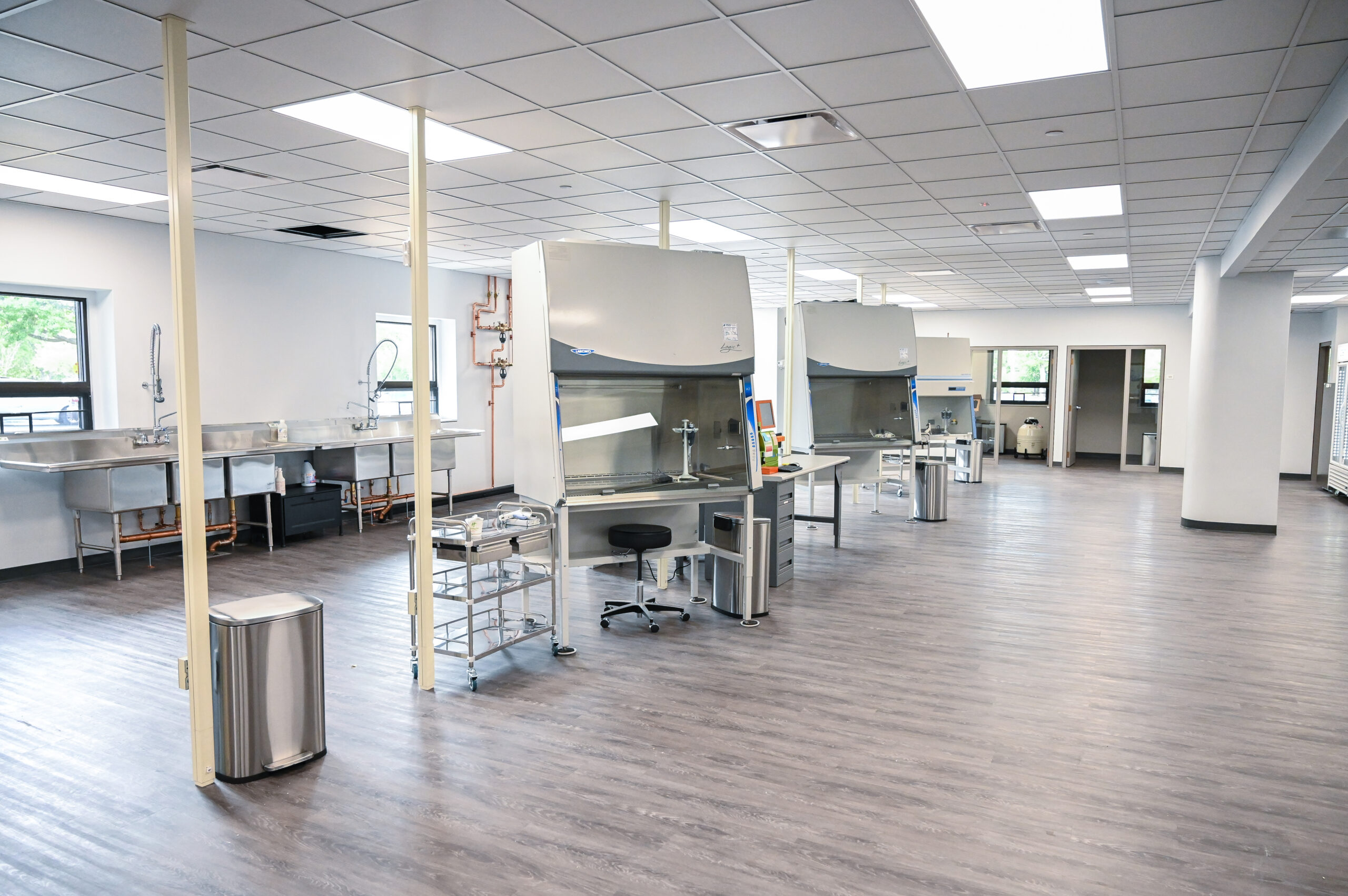 Boston CC - INTERNAL USE ONLY-2 (1) Modern StemExpress cell isolation lab