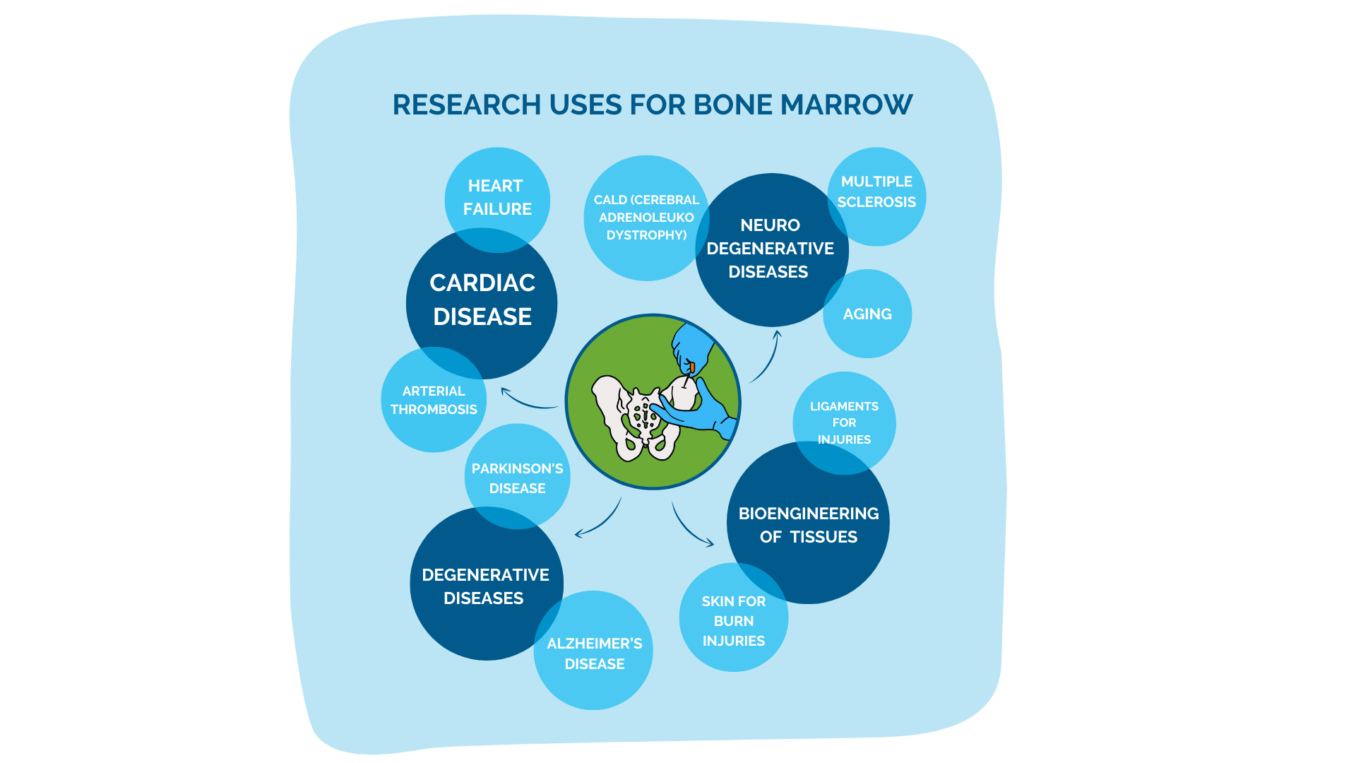 Why should you donate bone marrow (3)