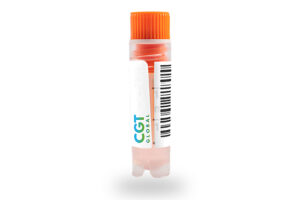 Cryovial containing human cell therapy starting material – CGT Global