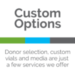Custom Options with CGT Global