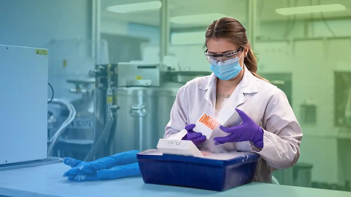 Lab technician handling cryopreserved samples in a state-of-the-art laboratory—CGT Global, a leading CRO providing biomedical products for research.