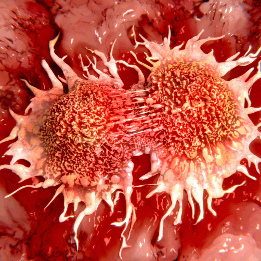 Cancer cells dividing