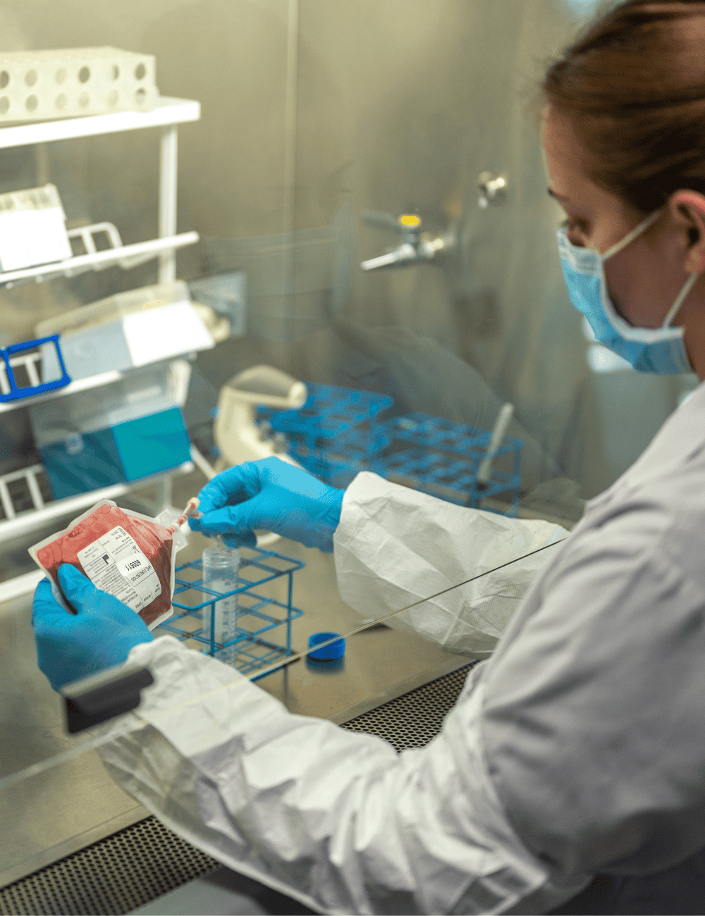 Cord Blood being dispensed into vials