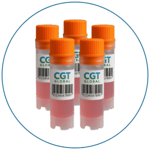 Frozen PBMC samples in labeled cryovials from human peripheral blood High-viability cryopreserved Peripheral Blood Mononuclear Cells in cryovials, ready for laboratory research