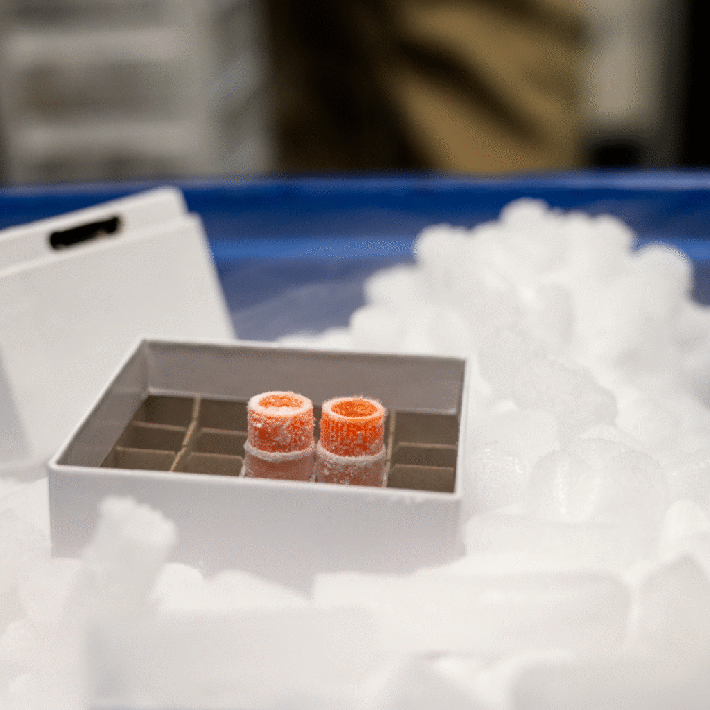 Frozen Vials of isolated cells