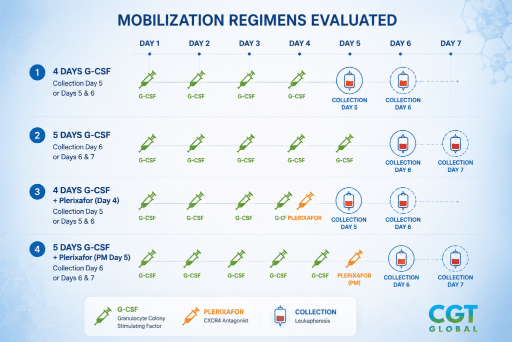 G-CSF and plerixafor mobilization regimen comparison showing Day 5 through Day 7 mobilized leukopak collection schedules.