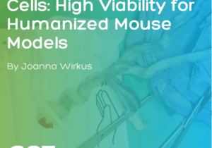 blog cover for cord blood cd34 cells