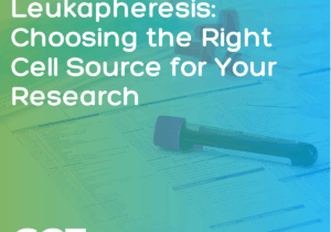 Buffy Coat vs. Leukapheresis: Choosing the Right Cell Source for Your Research 