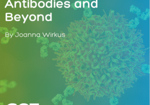 All About B Cells: Antibodies and Beyond