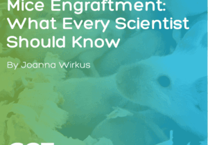 Boosting Humanized Mice Engraftment: What Every Scientist Should Know